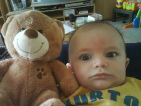 au secours, un ours...!